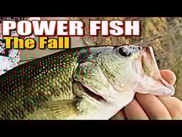 The BEST Way to Catch Fall Turnover Fish Without Wasting Time!