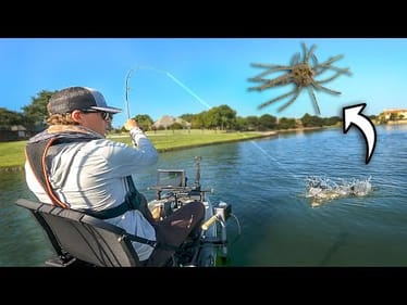 Fishing A NEW Summer Lure For Hungry Bass!