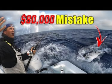 This ONE FISH is worth $80,000 