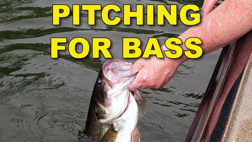 How To Pitch Cast (plus the best Rod, Reel, and Line) | Bass Fishing