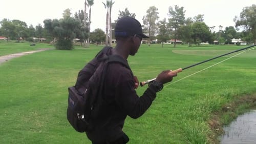 Arizona Fly Fishing For Carp
