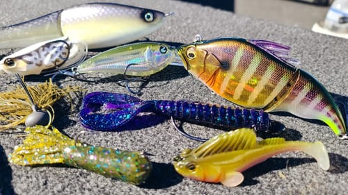 Bass Fishing: Top 10 Baits of 2020!!