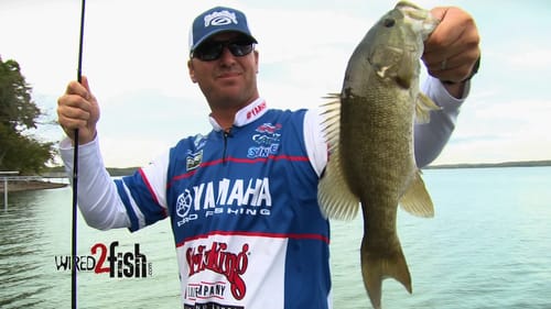 Walking Baits (Topwater) for Fall Bass