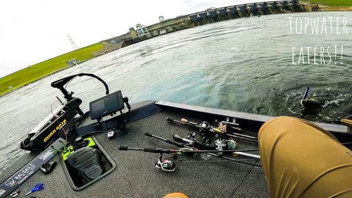 Catching TOPWATER CRUSHING Fish BELOW a GIANT SPILLWAY!! || My Biggest Ever??