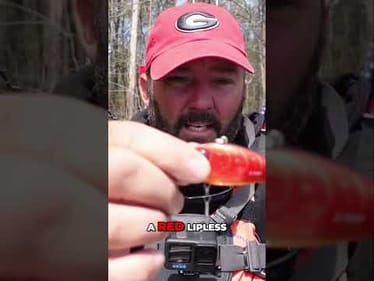 Catch More Fish with This Lipless Crankbait Trick