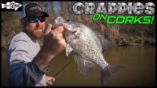 How to Catch Pond Crappies with Bobbers and Live Bait