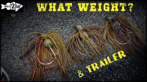 How to Choose the Right Bass Jig Weight and Trailer
