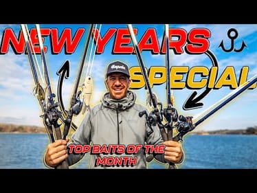 TOP BAITS of the MONTH ( JANUARY 2025 Edition 4K )