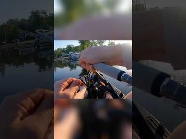 When Doubt…Drop Shot #aaanglers #bassfishing #kayakfishing