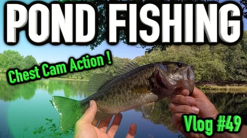 Pond Fishing Weightless Worms (Chest Cam) ~ Vlog #49
