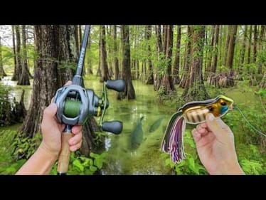 Fishing SWAMPY PONDS For Clear Water BASS! (New Ponds)