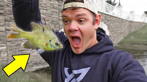 Confronted For Fishing LIVE Bait!