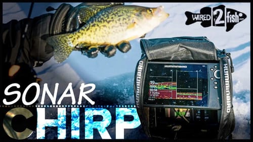 Why CHIRP is the Best 2D Sonar for Ice Fishing