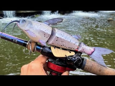 Making a CatFish SwimBait with a Flappy Brass AnalFin