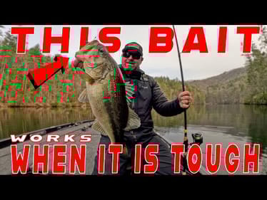 Neko Rig Tricks For Stubborn Winter Bass + Power Fishing Confidence Baits