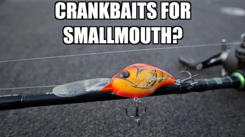 How to fish Crankbaits for Smallmouth Bass! - Crankbait fishing for Smallmouth Bass!