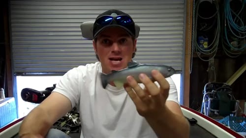 Which swimbaits catch fish?
