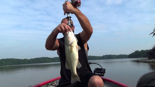 THKO WAKE BAIT Gettin It Done!!! (TackleJunky81)