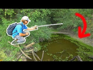 MICROSCOPIC Hook Challenge!! (HIDDEN POND)