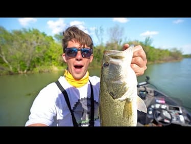 Super Strange Fish Catch In The Trees + (Never Stop Tour 2 UPDATES)