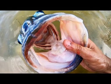 BASS of a LIFETIME strikes INCHES FROM THE BANK!!!