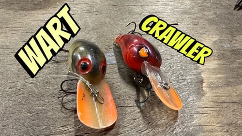 90% Of Anglers Don’t Know Which Of These Two Crankbait Is Superior…