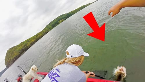 BASS Are Still On LEDGES... If You Were Wondering... 🔥🎣