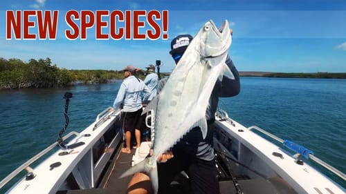 New Species on the Australian Coast!  Risk it for the Biscuit Part 2
