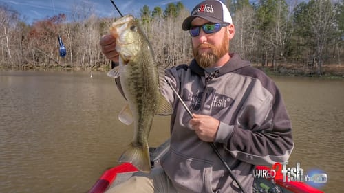 How to Adjust Your Fishing During Cold Fronts