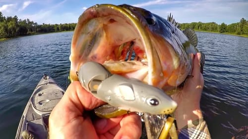 Big Bass Love The Rat!