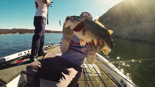 2 Bass on the Baitsmith Magnum Trout Swimbait at Castaic Lake