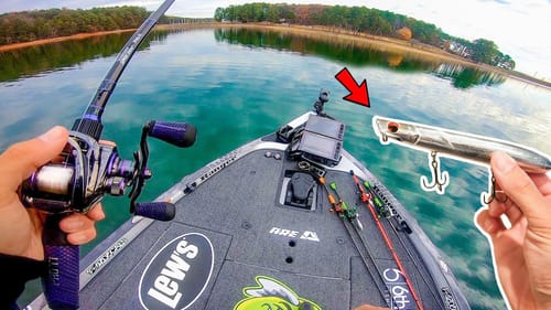 Fishing BIG Topwaters for GIANT Bass (Lake Fishing)