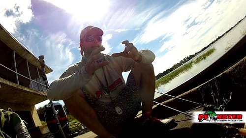 Frog Fishing Manifesto