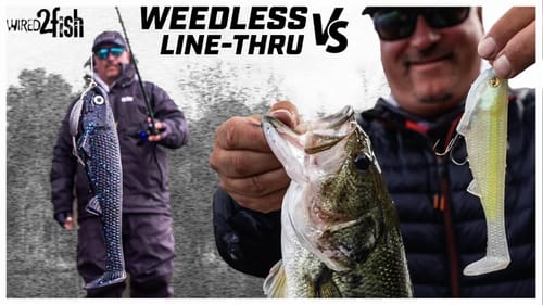 When to Fish Weedless vs. Line-Through Swimbaits
