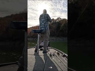 Don't Overlook This Bait On Schooling Fish! 😎