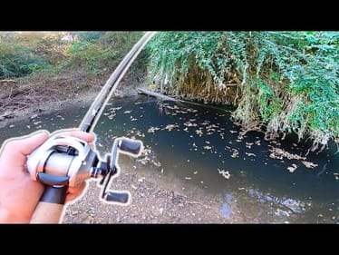 This Creek Fishing Mission DIDN'T Go As Planned...