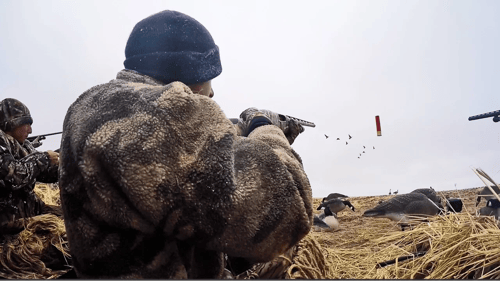 First Time Killing Geese