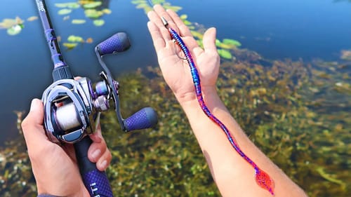 World's LARGEST Fishing WORM! (Actually Works!)