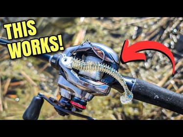 The TopSpin Rig is PERFECT for Spring Fishing