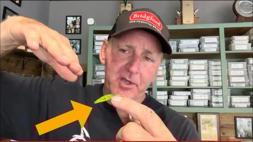 Common Myths Surrounding Chartreuse Tailed Soft Plastics