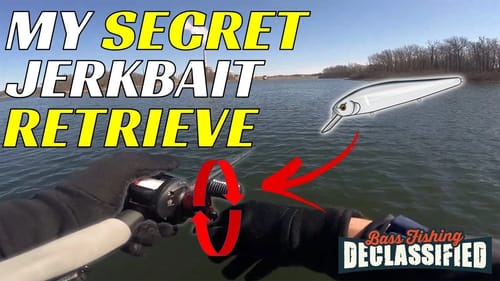Why We Catch 3X More Bass on Jerkbait Than You In the Winter