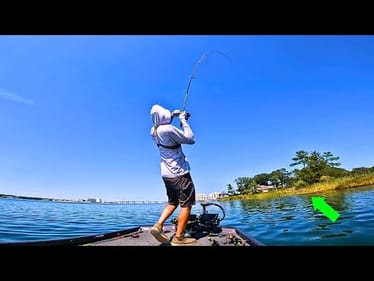 These FISH Are So AGGRESSIVE!!!