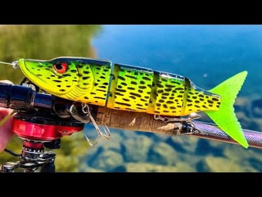 A Company is Making One of My Baits... and It Caught Me a New Species