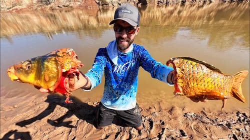 MONSTER BAIT for a MONSTER FISH!!!