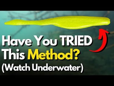 The Soft Jerkbait RETRIEVE You MUST Add to Your Fishing