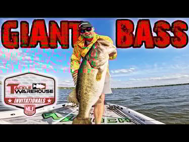 Kissimmee Giants! MLF Pre-Fishing Reveals Big Fish Offshore!