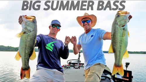 Catching MONSTER BASS in the SUMMER Fishing SHALLOW!! (UNEXPECTED CATCH)