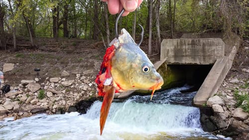 Casting GIANT Baits In a SPILLWAY!!! (NEW Fishing Gadget! - Espin Nesta)