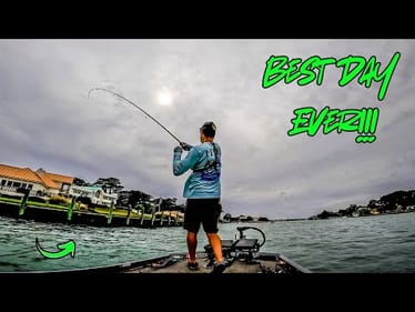 Massive FEEDING FRENZY On BAITFISH SCHOOLS!!  || Insane Day