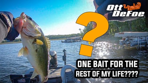 One Bait For The Rest Of My Life!